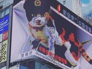 䂣̂iqVhwwOL̓eʐ^2