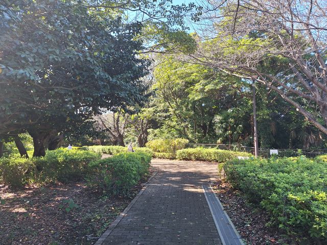 �H�̎U�����a�ł��B_�{�q�R������