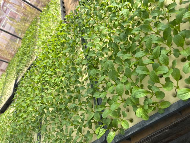 �A�N�A�t�@�[������ɂ�_�A�N�A�t�@�[������