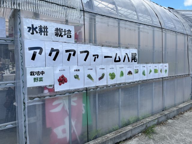 �R�R�Ŗ�؂����������܂��I_�A�N�A�t�@�[������