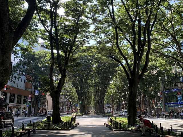 �P���L����_��T����