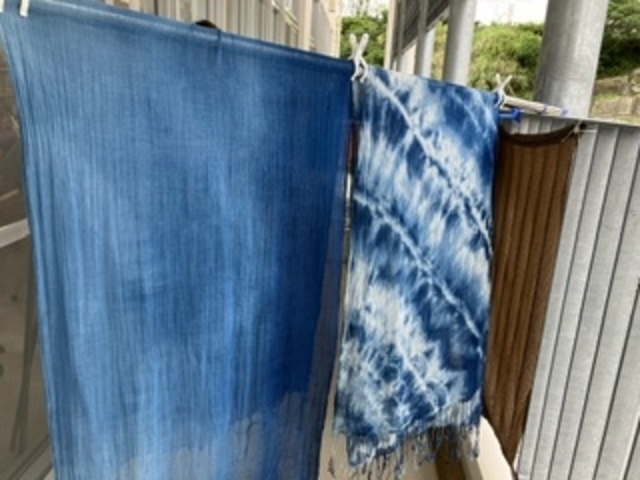 ���ꂼ��̌����o�܂�����_�ʗ��H�[