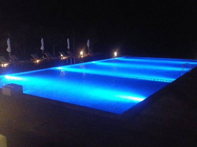 Ԃ̓v[TChŃJNe܂
_TCvX][gvē