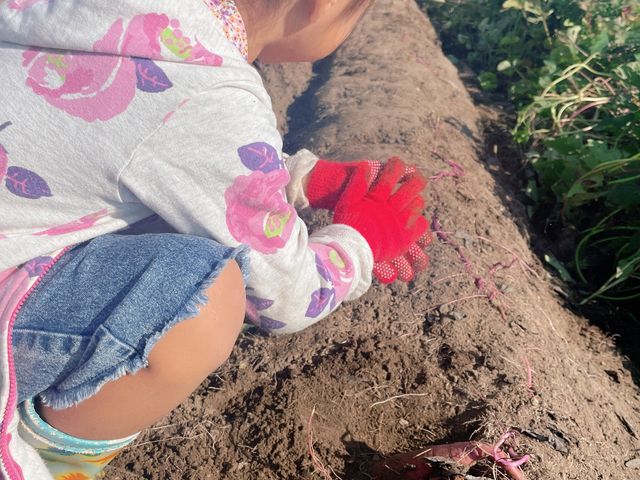 2�l��8�����n���܂���_�Ă��ȃt�@�[��