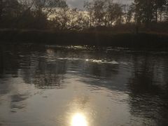 XT̃m[XC[XgJk[Z^[ւ̓eʐ^2