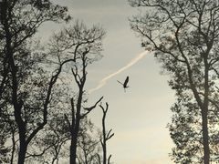 XT̃m[XC[XgJk[Z^[ւ̓eʐ^3