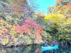 肽񂳂̃BgJ̓]ւ̓eʐ^1