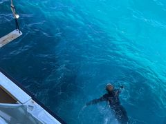 ₩񂳂̌cǊ(P})C攼cA[X@OPGւ̓eʐ^1