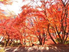 ���傳��̍����k�ւ̓��e�ʐ^2