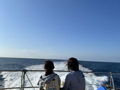 ݂݂邳̌cǊ(P})C攼cA[X@OPGւ̓eʐ^1