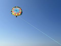 ݂݂邳̌cǊ(P})C攼cA[X@OPGւ̓eʐ^2