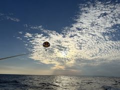 kanaSeaWorldւ̓eʐ^4