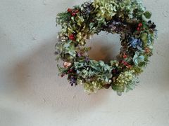 �Ȃ���������̃i�`�������K�[�f���숢�h�ւ̓��e�ʐ^4