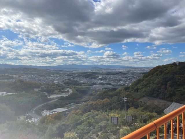 �i�F_��̑��q�ό��݂���