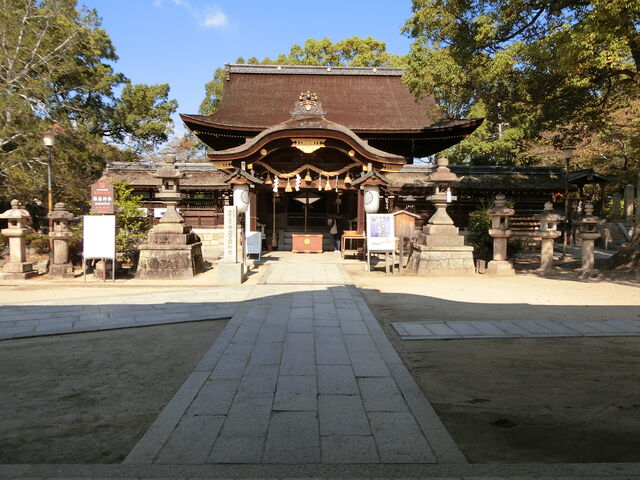 ���X�_��