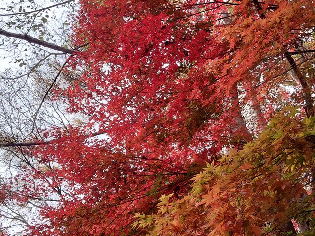 f炵gtłB_X̂̈ēlsbLI