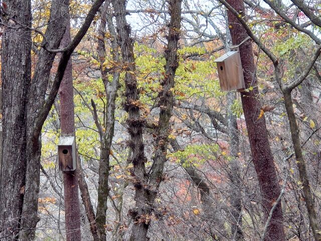 ɂ̓TTr܂B_X̂̈ēlsbLI