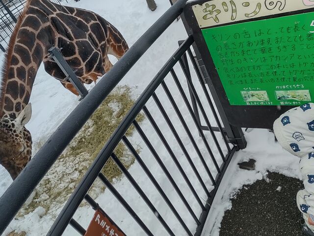 �a��H���L����_���R������