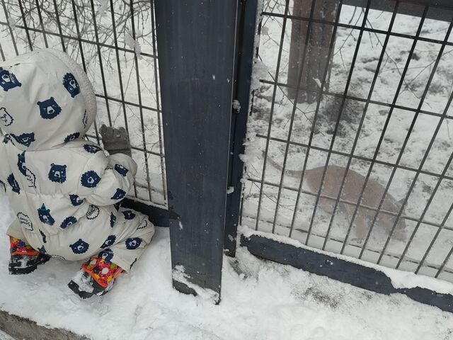 �ォ�猩��`�r_���R������