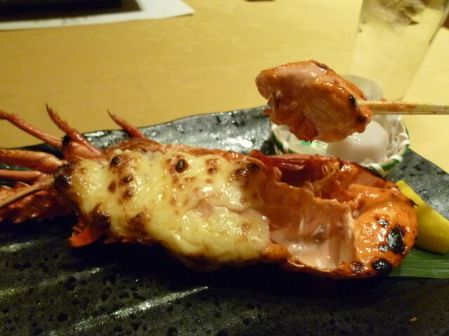 ɐCV̒[Ă@܂(^^_[ _˃n[o[hX