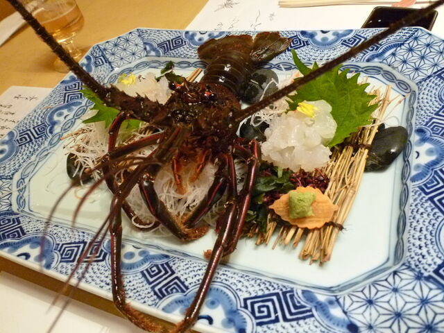 ɐCV̊@rqQsNsN_[ _˃n[o[hX