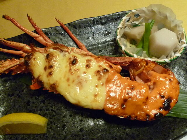 II@ɐCV̒[Ă_[ _˃n[o[hX