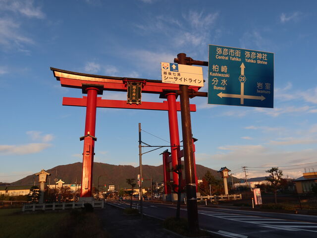 �P�X�W�Q�N�̏�z�V�����J�ʂ��L�O���ĕ򌚂��ꂽ�咹���B���{�R�ʂ̍����R�O�D�P�U���[�g��_�\�F�_��