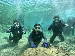 ̐̓AJiT_CrOւ̓eʐ^1