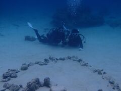 イ̃}Vbv }[Chւ̓eʐ^1