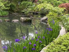 �䂩��񂳂�̍��Ô��p�قւ̓��e�ʐ^1