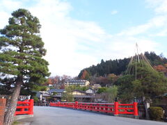 �j�R����񂳂�̒����ւ̓��e�ʐ^1