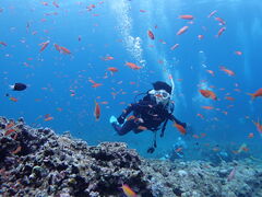 ݂̐Ί_FLOWFISHւ̓eʐ^1