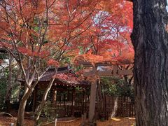 ߂Fun Cycling sւ̓eʐ^1