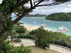 L[񂳂̐약}T[rXւ̓eʐ^1