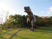 CCꃉC_[̃OEhSt̂ӂ闢̋uƂ܂̓eʐ^5