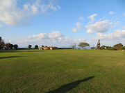 CCꃉC_[̃OEhSt̂ӂ闢̋uƂ܂̓eʐ^6