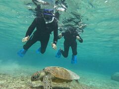 {Ó ADVENTURE PiPi̎ʐ^1