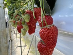 hNTC̕όAOXl΂ւ̓eʐ^1