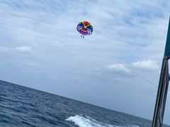 ݂̋{ÓpZ[O all good marine 385ւ̓eʐ^1