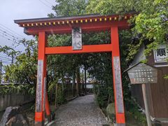 �~�b�`�[����̑�P�ԎD����R���ւ̓��e�ʐ^1