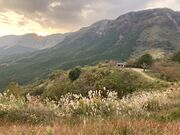 񂳂̓cqRW]qӂˎVr̓eʐ^3