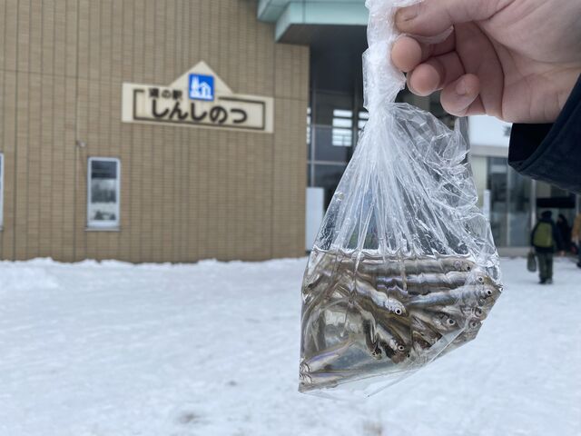 ̌WbvbNɐl߂ė₵ĎċA܂_񂵂̂򂽂Ղ̓