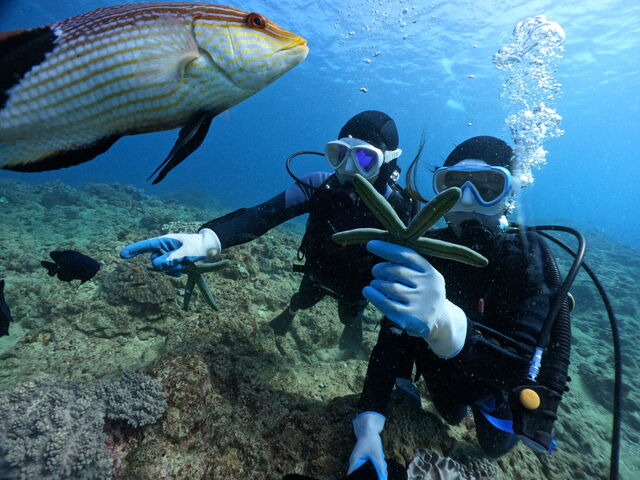 ���̎��̎ʐ^_DS natura