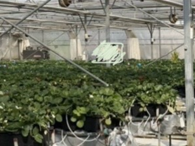 �ƂĂ��L���̂ŁA���g���q���񂪂��Ă��A����Ă���̂ŋC�ɂȂ�܂���B_���b�`�t�B�[���h�Ó�_��