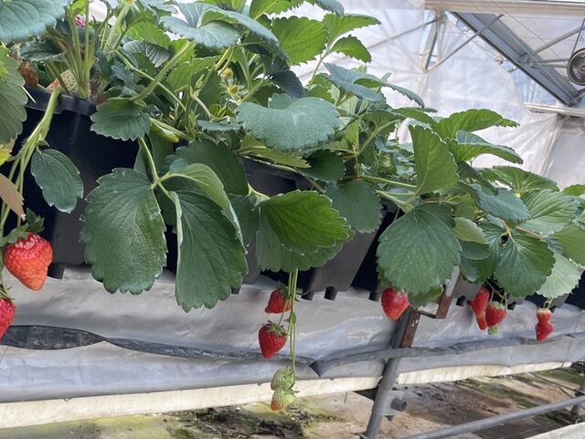 ����łȂ��Ă��A���ꂼ�ꂪ�Â������ł��B_���b�`�t�B�[���h�Ó�_��