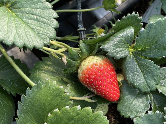 �Â������łȂ��H�����ǂ������̂��R���B���̕��ɏ��������L��܂����B �T���Ă݂Ă��������B_���b�`�t�B�[���h�Ó�_��