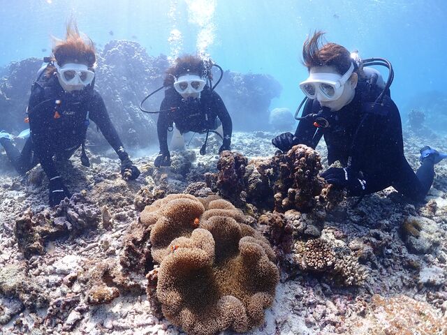 �j��������Ă��Ă��ꂽ�悤�ȋC���c�H_���Ⴑ����