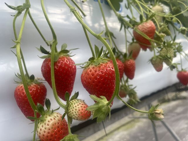 �嗱�̍��荂���Â���������������������Ă܂�����_���ڂ�������