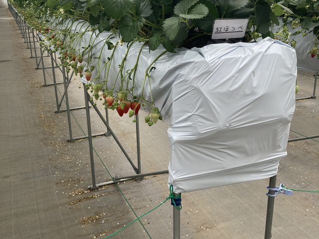 �ʉ������Ȃ������₷���ł��B_�����x���[