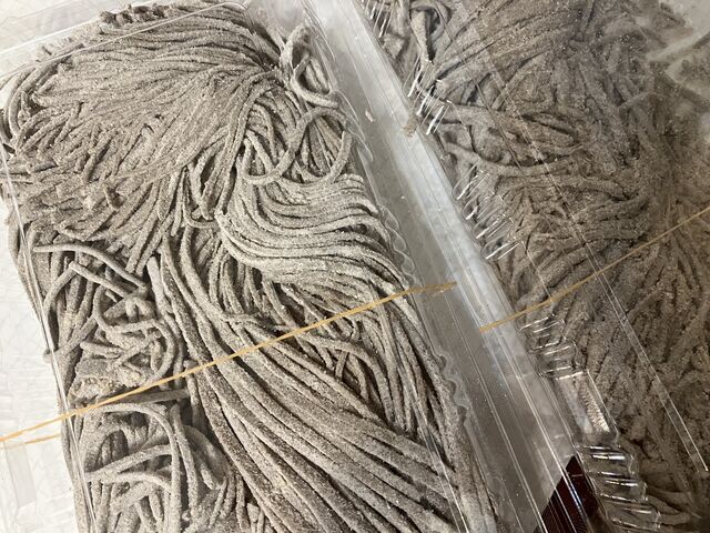 ���̎��ł��Ď����A�����������ł��B_�������΍H�[